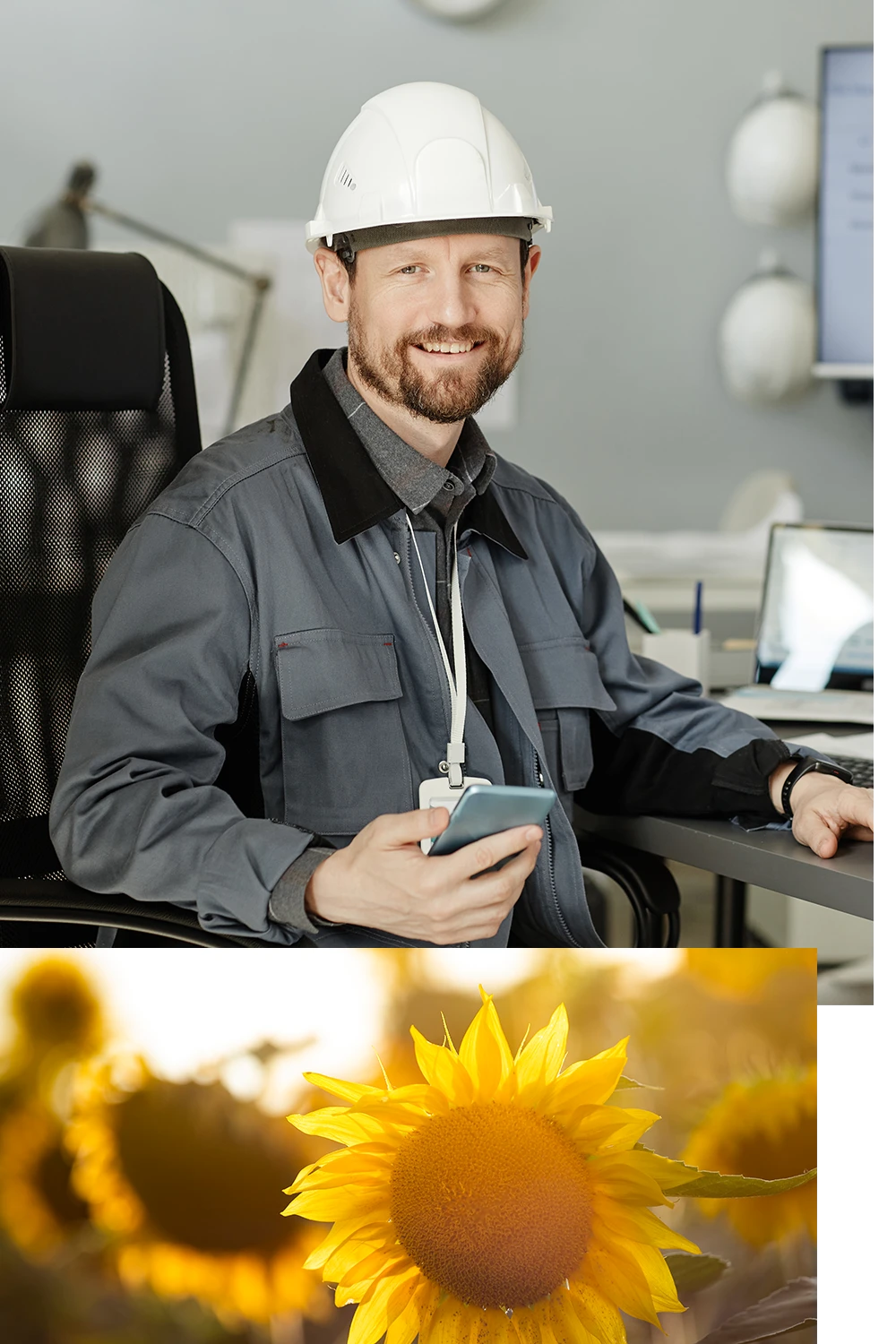 sunflower-economic-development-services sunflower-economic-development-services